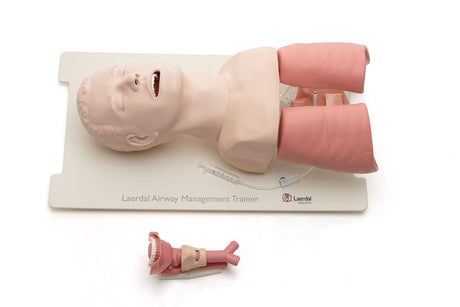 Airway Management Trainer Laerdal by Laerdal is a medical training mannequin for airway management, featuring a head, neck, and lungs on a white base. This realistic medical training tool is ideal for intubation training and simulation.