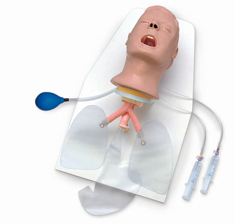 The Life/form Advanced “Airway Larry” Airway Management Trainer with Stand, featuring an anatomically realistic head, open mouth, and airways on a white background, is designed for intubation practice.