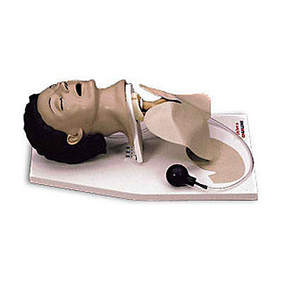 The Life/form Adult Airway Management Trainer with Stand, by Life/form, includes a detailed neck section and an open mouth on a sturdy white base, making it ideal for mastering CPR techniques and intubation practice.