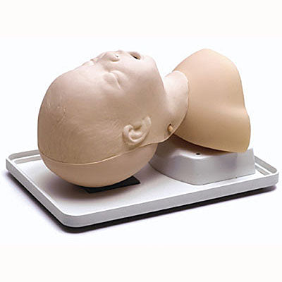 The Laerdal Infant Airway Management Trainer, created by Laerdal, is a mannequin consisting of a head and shoulders with realistic anatomy designed to be placed on a tray. It is perfect for practicing and enhancing skills in managing an infant's airway.