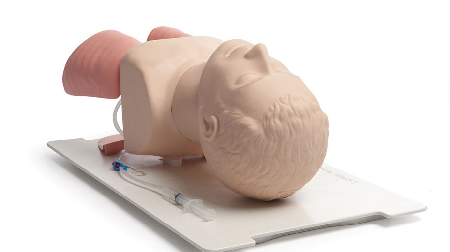 The Airway Management Trainer Laerdal by Laerdal is a realistic medical training mannequin head and torso on a white base, designed for practicing medical procedures and techniques, including intubation training and airway management simulation.