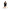 Person practicing CPR on a training mannequin against a plain white background.