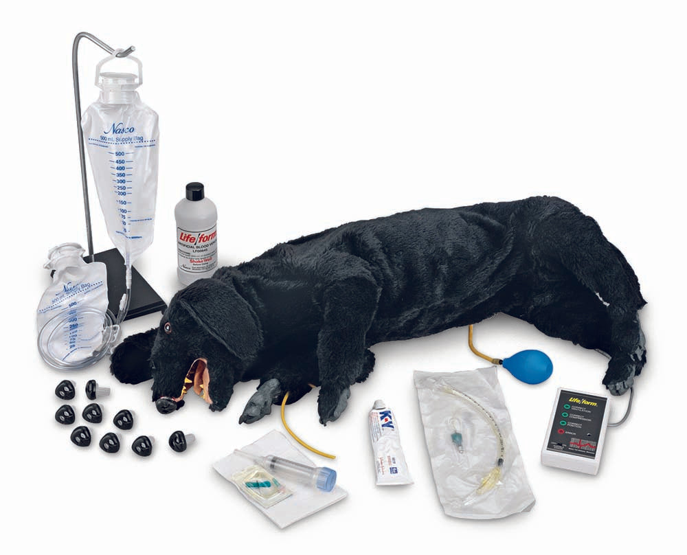 Life/form's Advanced Sanitary CPR Dog showcases advanced life support techniques for dogs, complete with an IV foreleg, pump, and an array of medical tools.