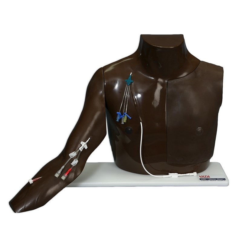 Laerdal's Vascular Access - Chester Chest medical training model features vascular access with IV lines and a PICC line inserted in the arm, displayed on a white base.