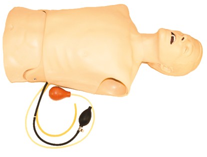 The Laerdal AT Kelly Torso is a CPR training mannequin torso that includes an open mouth and attached air pump assemblies, specifically designed for effective airway management.