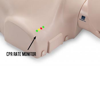 Close-up of a Prestan Professional Series ADULT Training Manikin with lights labeled "CPR Rate Monitor" indicating the correct compression rate.