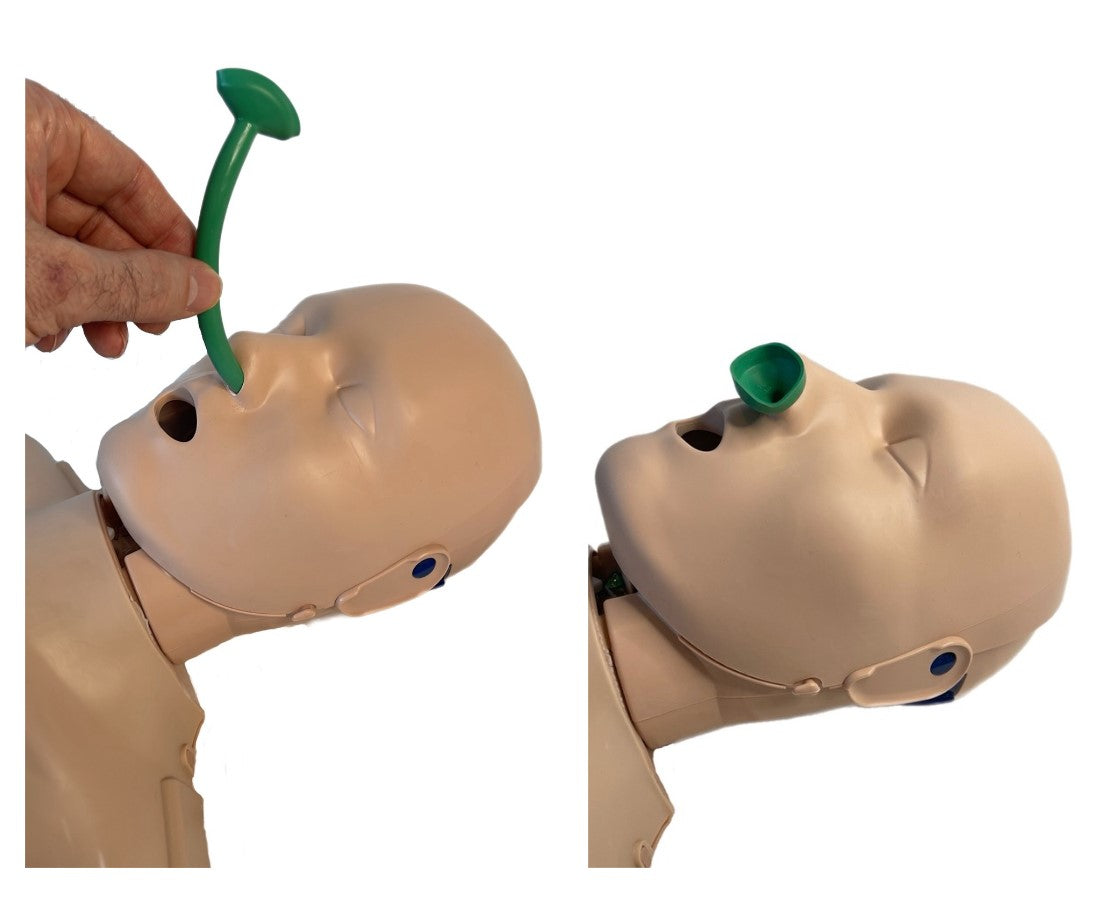 Two images of the Prestan PRO+ Adult Manikin Single by Prestan demonstrate the insertion of a green nasopharyngeal airway device into the nostril, essential for practicing airway management.