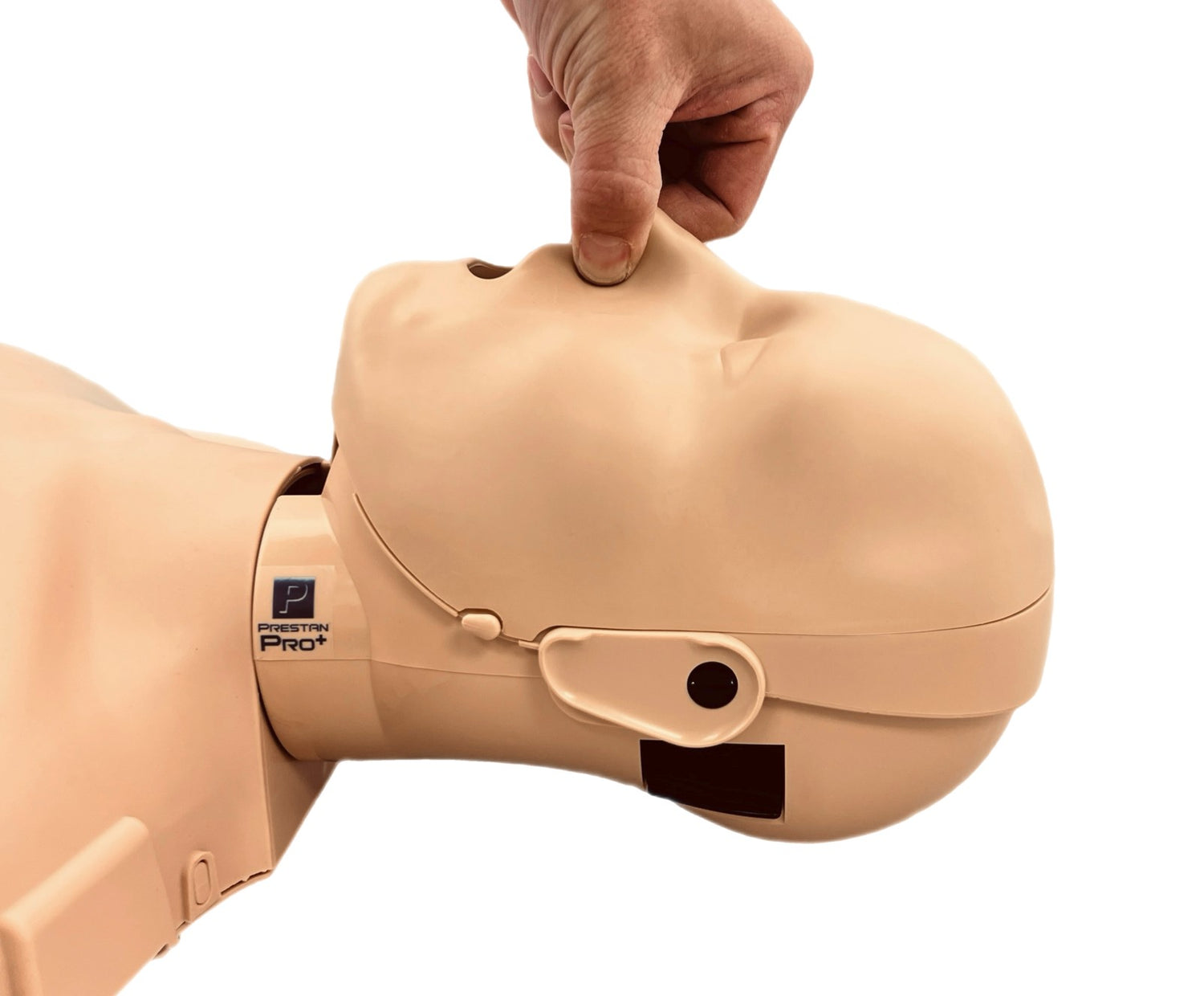 A hand tilts the head of the Prestan PRO+ Adult Manikin Single by Prestan, with the mouth open to demonstrate airway management, while ensuring proper technique using the integrated Rate Monitor feedback.