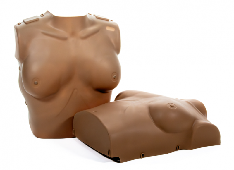 The AED Shop's PRESTAN Professional Adult Female Manikin with CPR Feedback, Single, includes both an upright female torso and a supine torso for full CPR training and practice.