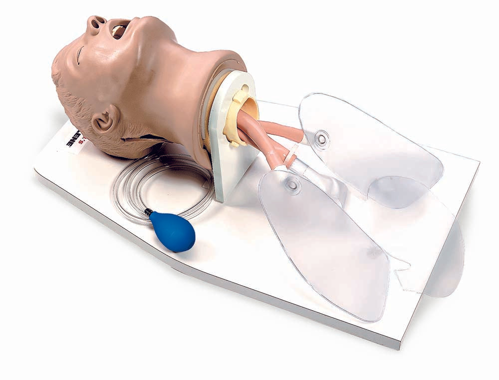 The Life/form Airway Larry - Airway Management Trainer with Stand is a small adult simulator featuring a medical training mannequin's head, complete with tubing and a blue pump on a white base, designed meticulously for training purposes, with the face tilted back.