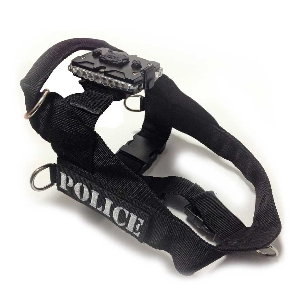 Guardian Angel's Canine Harness & Mount for LED Safety Light features a black design equipped with Velcro straps, metal rings, and a strap clip mount to enhance security.